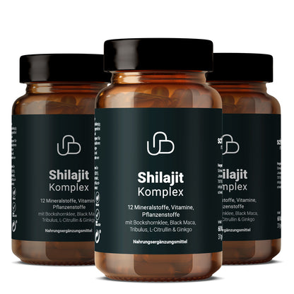 Shilajit Komplex von Schweizer Naturals